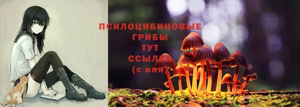 2c-b Верхний Тагил